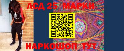 наркотики Сланцы