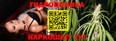 каннабис Славгород