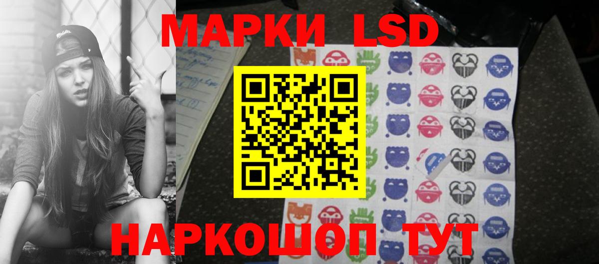 Альфа ПВП Рубцовск