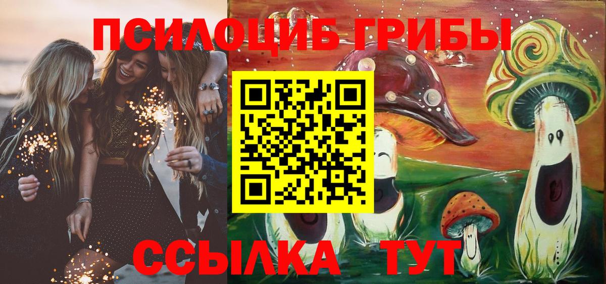 Псилоцибиновые грибы Cubensis Рубцовск