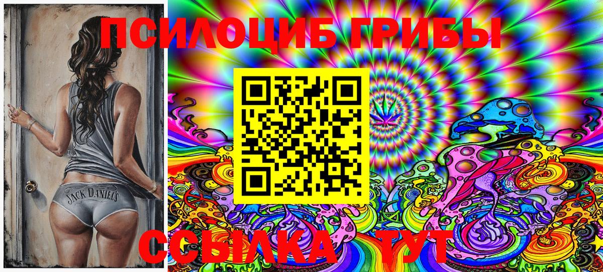 Рубцовск  Галлюциногенные грибы MAGIC MUSHROOMS  Вход с VPN  Псилоцибиновые грибы Cubensis 